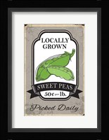 Sweet Peas Fine Art Print