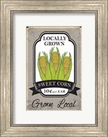 Sweet Corn Fine Art Print