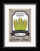 Sweet Corn Framed Print