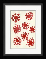 Terracota Petals no 1 Fine Art Print