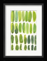 Piedras de Agua Fine Art Print