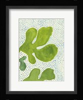 Green Leaf with Dots 2 Fine Art Print