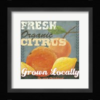Citrus Fine Art Print