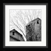 Barn Windows Fine Art Print