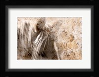Cast in Stone Fine Art Print