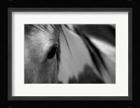 One Eye Fine Art Print