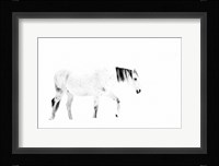 Equine Fine Art Print