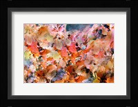 Fall's Folly Fine Art Print