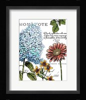 Botanical Postcard Color I Framed Print