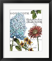 Botanical Postcard Color I Framed Print