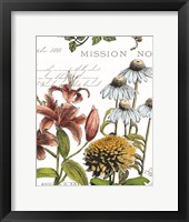 Botanical Postcard Color II Framed Print