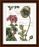 Botanical Postcard Color III Fine Art Print