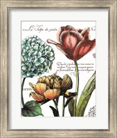 Botanical Postcard Color IV Fine Art Print