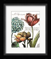 Botanical Postcard Color IV Framed Print