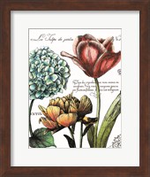 Botanical Postcard Color IV Fine Art Print