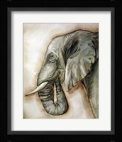 Elephant Portrait Framed Print