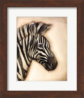 Zebra Portrait Fine Art Print