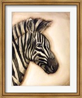 Zebra Portrait Fine Art Print