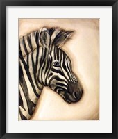 Zebra Portrait Framed Print