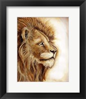 Lion Portrait Fine Art Print