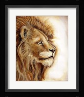 Lion Portrait Fine Art Print