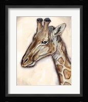 Giraffe Portrait Framed Print