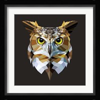 Owl Fine Art Print
