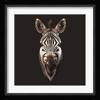 Zebra Fine Art Print