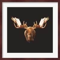Moose Fine Art Print