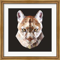 Mountain Lion Fine Art Print