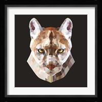 Mountain Lion Fine Art Print
