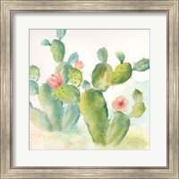 Cactus Garden III Fine Art Print