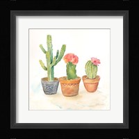 Cactus Pots III Framed Print