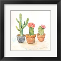 Cactus Pots III Framed Print