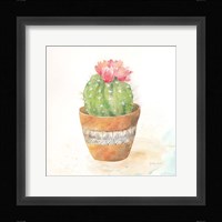 Cactus Pots IV Framed Print
