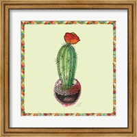 Rainbow Cactus I Fine Art Print