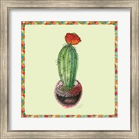 Rainbow Cactus I Fine Art Print
