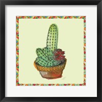 Rainbow Cactus III Framed Print
