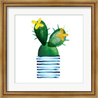 Colorful Cactus I Fine Art Print