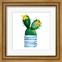 Colorful Cactus I Fine Art Print
