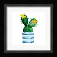 Colorful Cactus I Fine Art Print