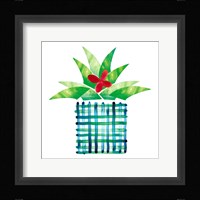 Colorful Cactus III Fine Art Print