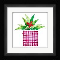 Colorful Cactus V Fine Art Print