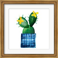 Colorful Cactus VIII Fine Art Print