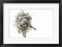 Expressions Snow Leopard Fine Art Print