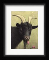 Black Goat Enjoying a Pink Flower Fine Art Print