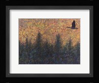 Solitary Goose Fine Art Print