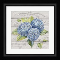 Blue Hydrangeas Fine Art Print