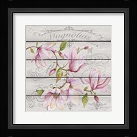 Pink Magnolias I Fine Art Print
