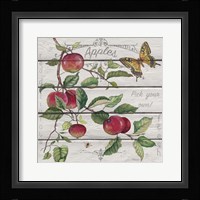 Red Delicious Apples Fine Art Print